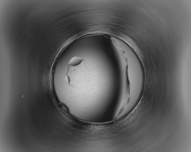 X0000092301242200710121441