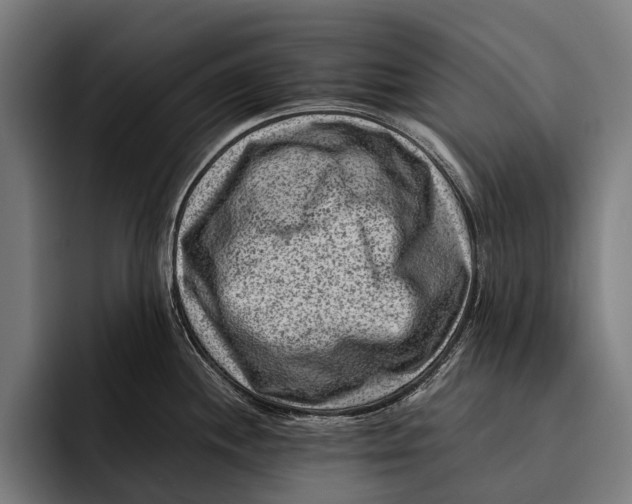 X0000092301244200710121441