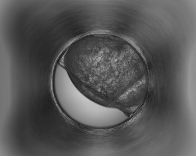 X0000092301245200710121441