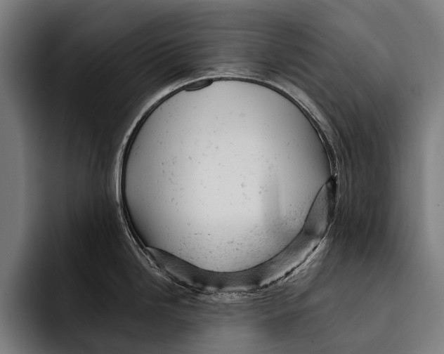 X0000092301246200710121441