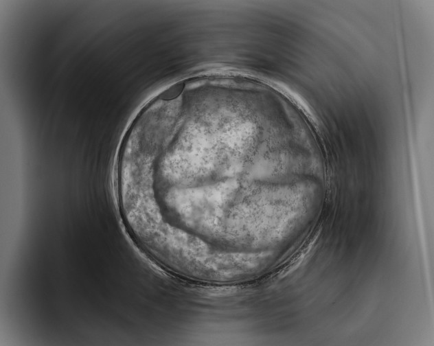 X0000092301247200710121441