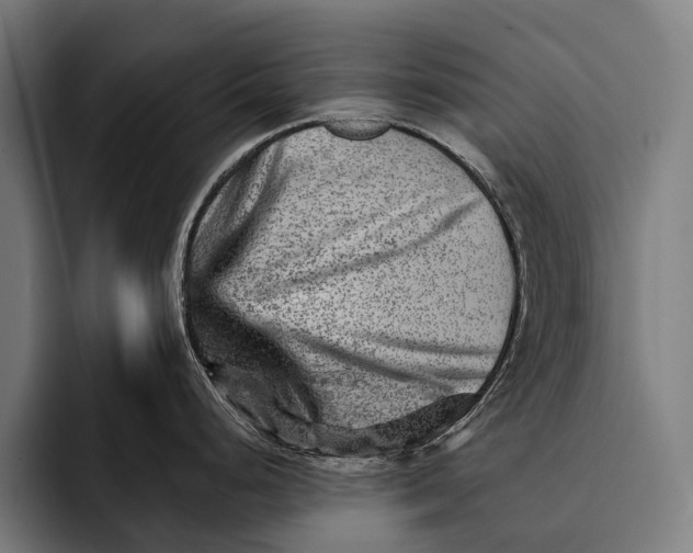 X0000092301248200710121441