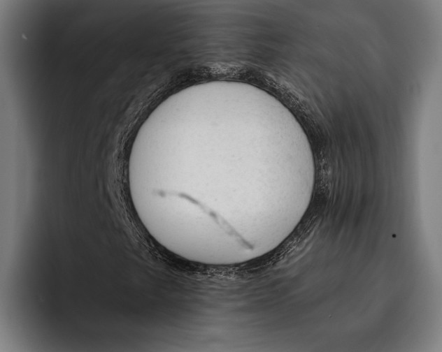 X0000092301249200710121440