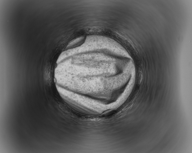 X0000092301250200710121440