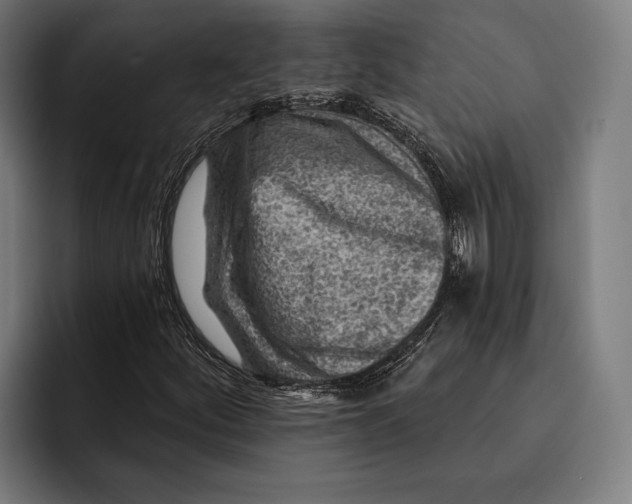 X0000092301252200710121440