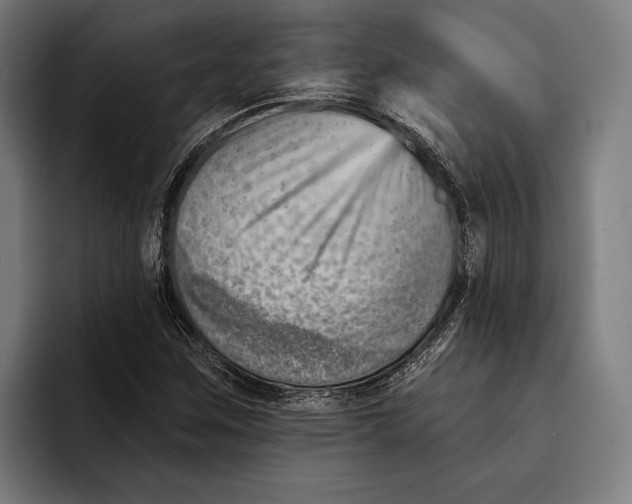 X0000092301259200710121440