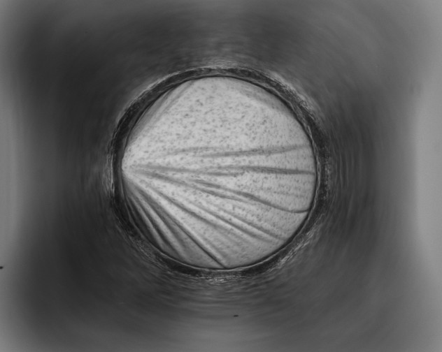 X0000092301262200710121440