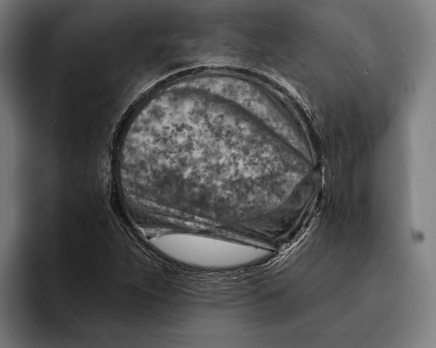 X0000092301263200710121440