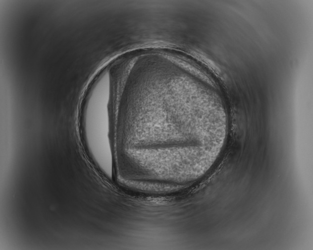 X0000092301264200710121440