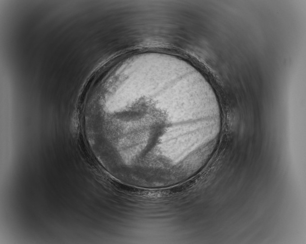 X0000092301266200710121440