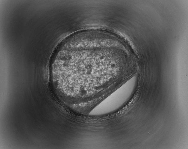 X0000092301267200710121440