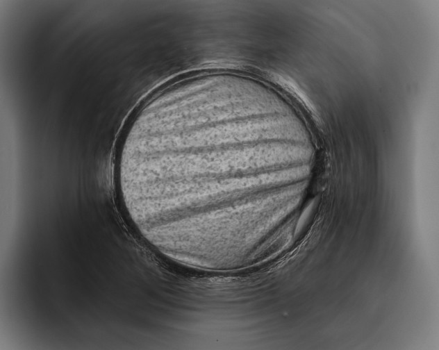 X0000092301268200710121440