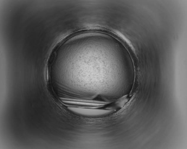 X0000092301269200710121440