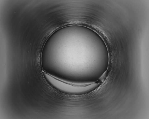 X0000092301273200710121440