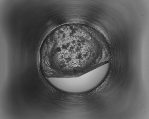 X0000092301275200710121440