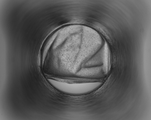 X0000092301276200710121440