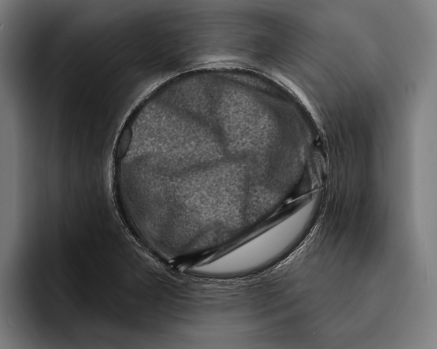 X0000092301277200710121440