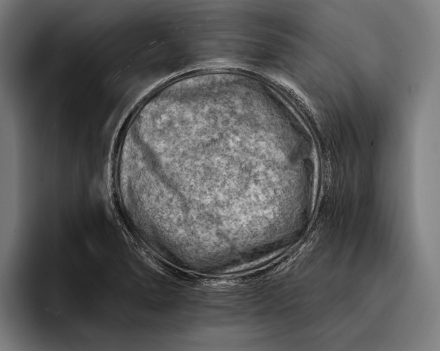 X0000092301278200710121440