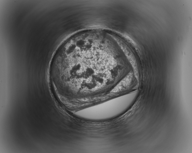 X0000092301279200710121440