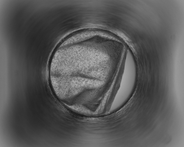 X0000092301280200710121440