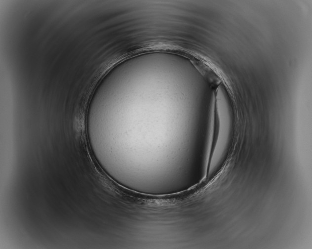 X0000092301281200710121440