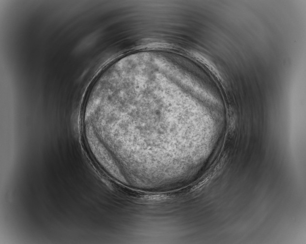 X0000092301282200710121440