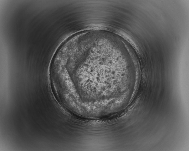 X0000092301283200710121440