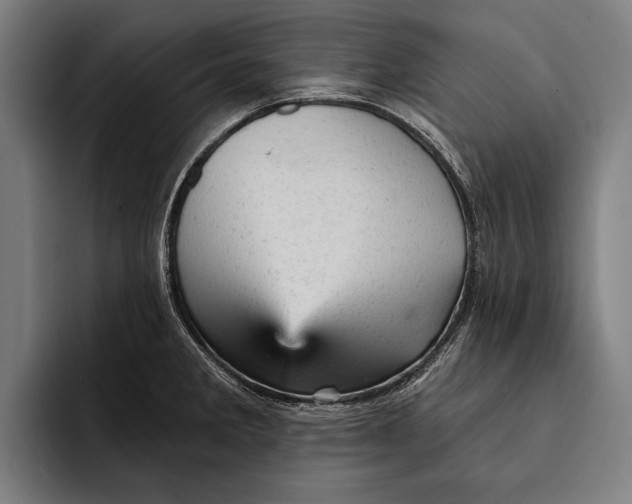 X0000092301285200710121440