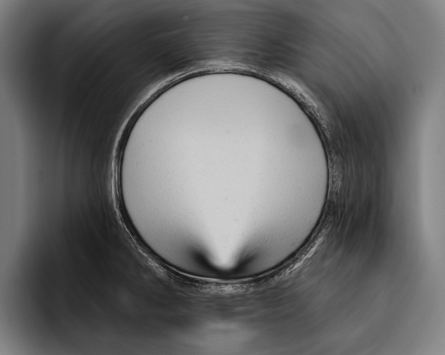 X0000092301286200710121440