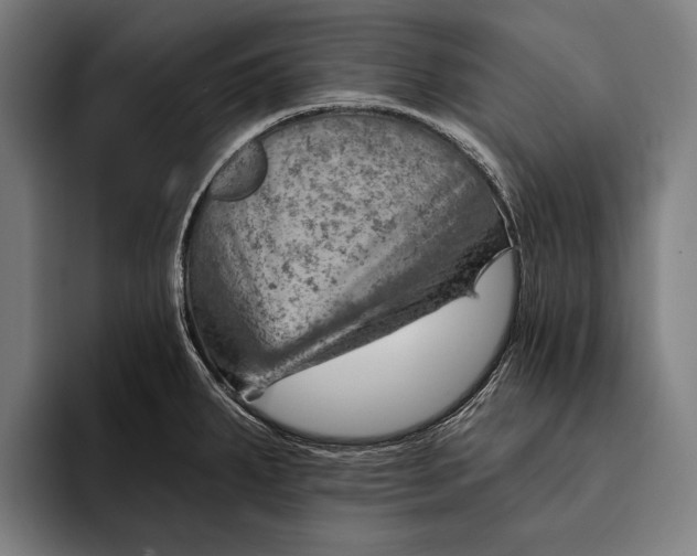 X0000092301287200710121440