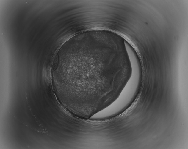 X0000092301289200710121440