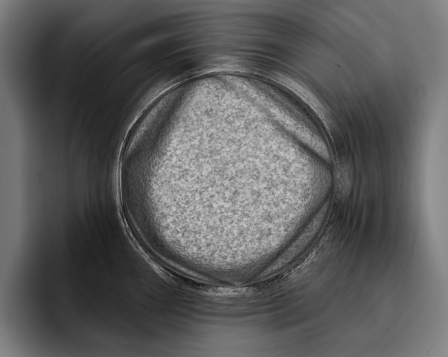 X0000092301290200710121440