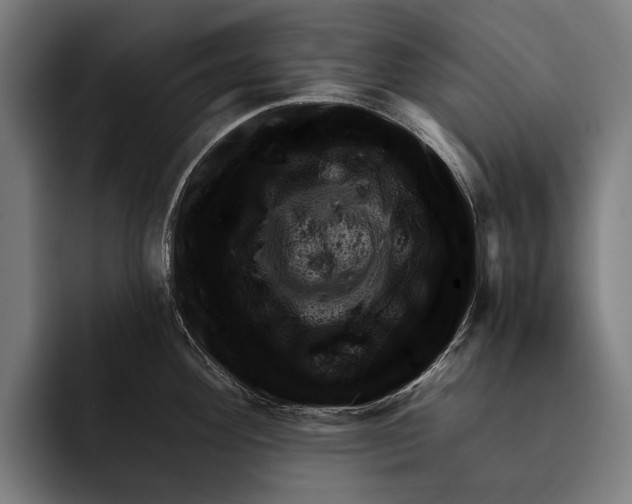 X0000092301292200710121440