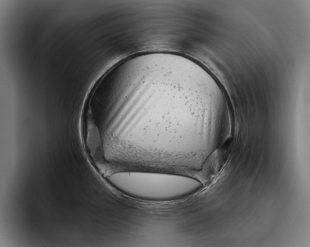 X0000092301293200710121440