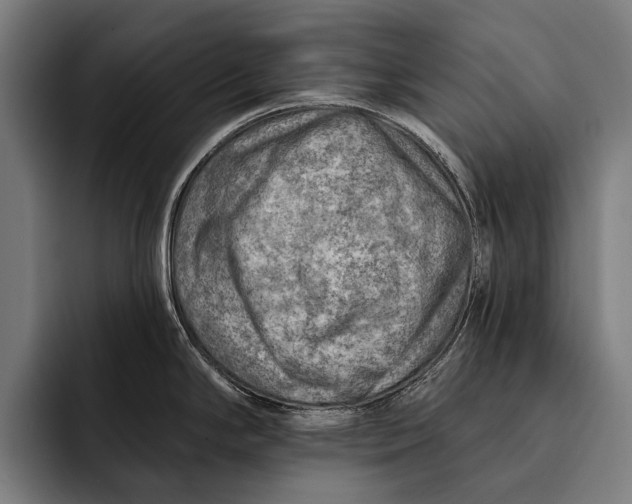 X0000092301294200710121440