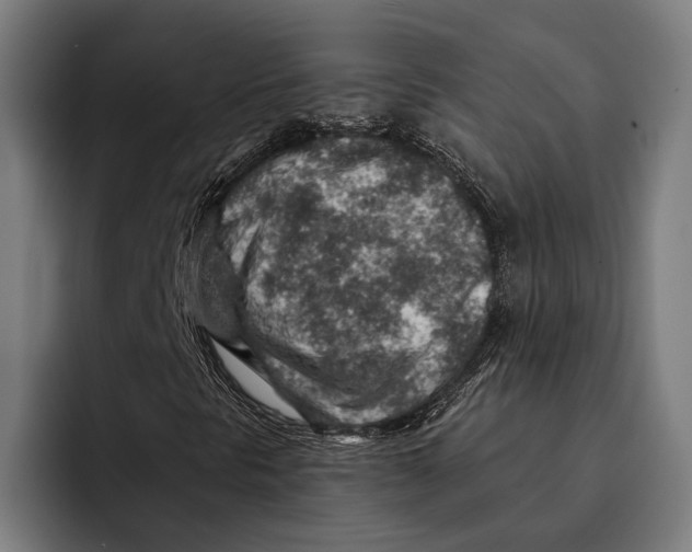 X0000092301297200710121439