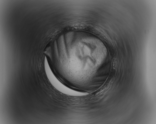 X0000092301298200710121439