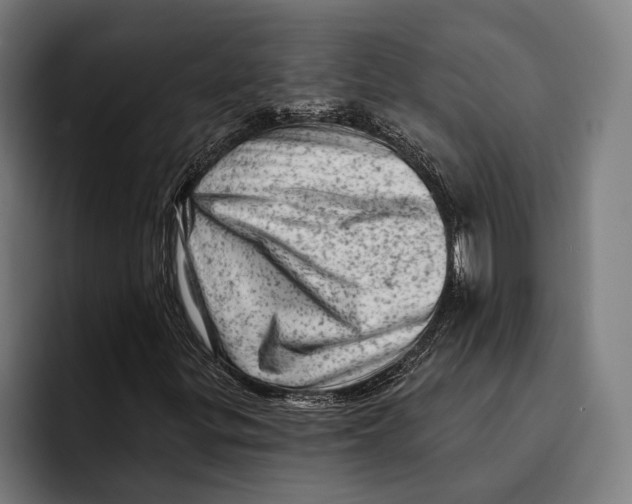 X0000092301299200710121439