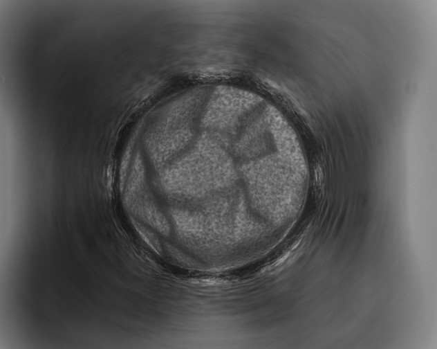 X0000092301300200710121439