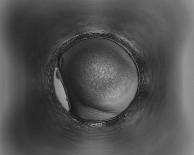 X0000092301303200710121439