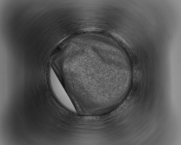 X0000092301305200710121439