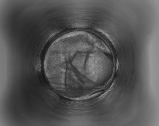 X0000092301306200710121439