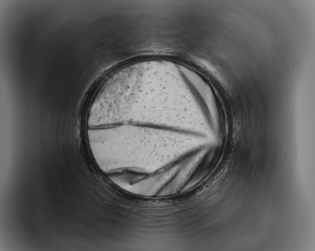 X0000092301307200710121439