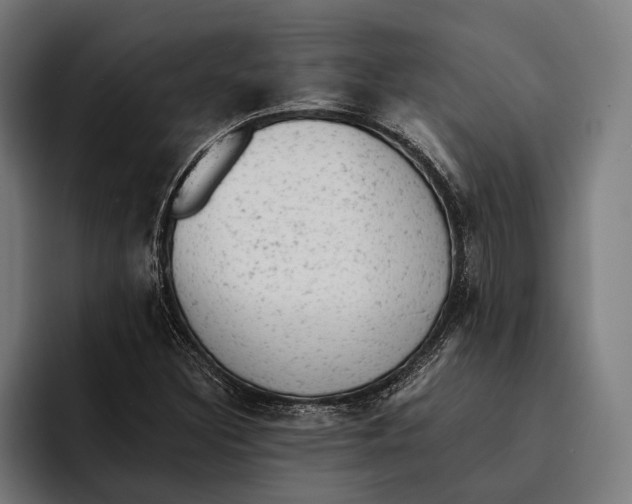 X0000092301308200710121439