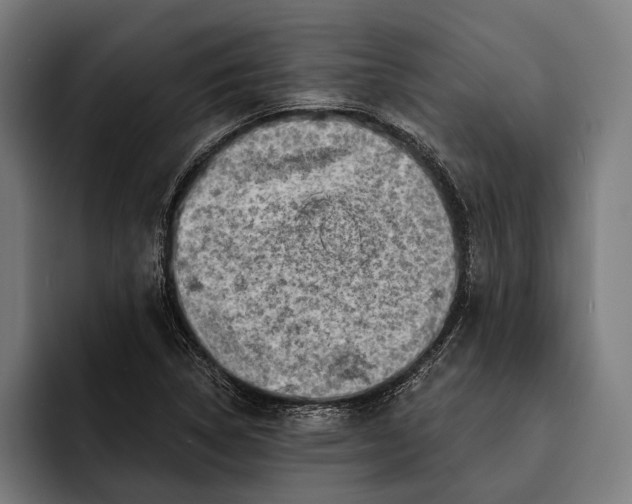 X0000092301314200710121439