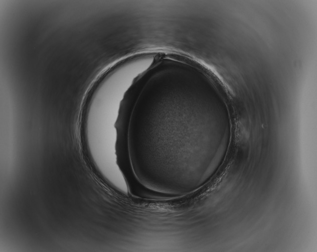 X0000092301319200710121439