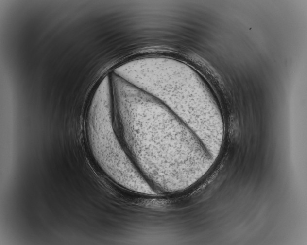 X0000092301321200710121439