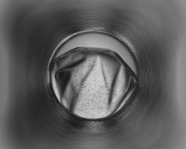 X0000092301324200710121440