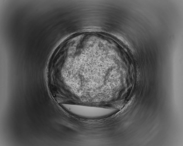 X0000092301325200710121440