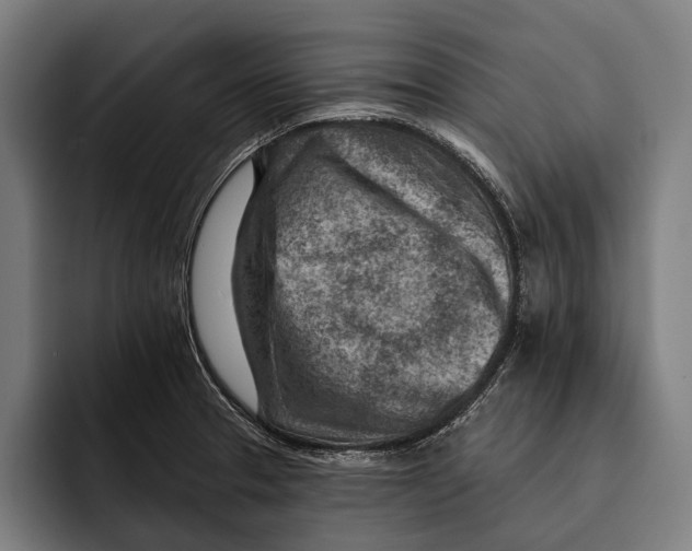 X0000092301329200710121440